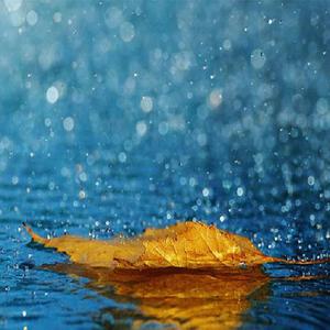 被cao开了上瘾了老想要
